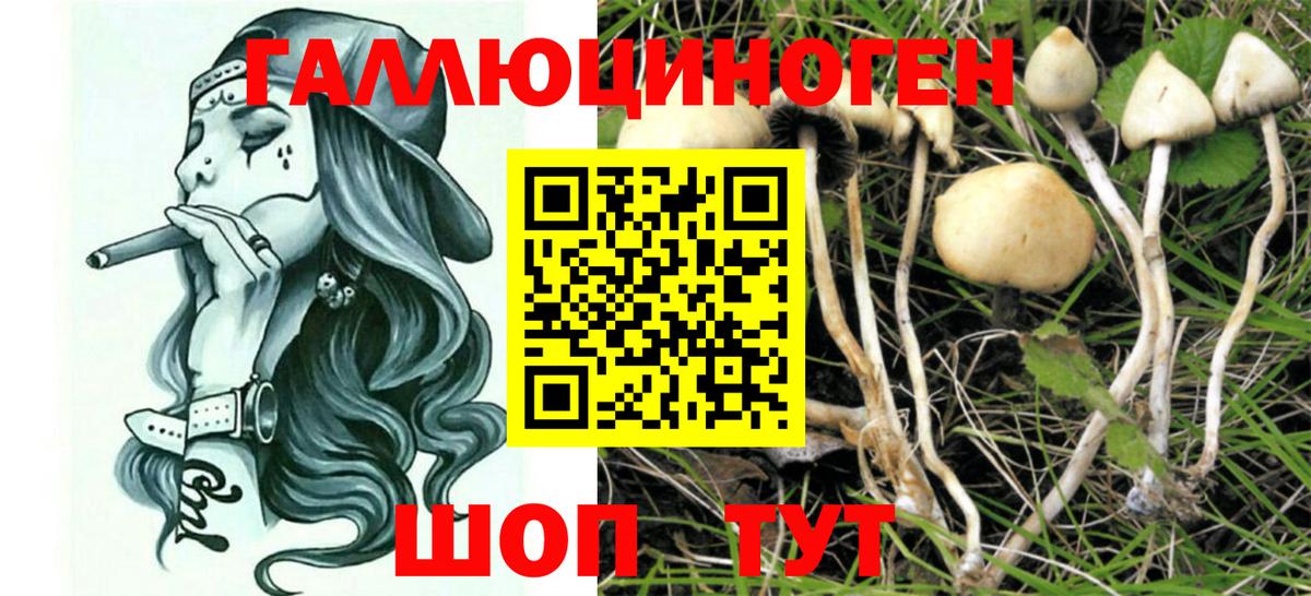 Галлюциногенные грибы MAGIC MUSHROOMS Назарово